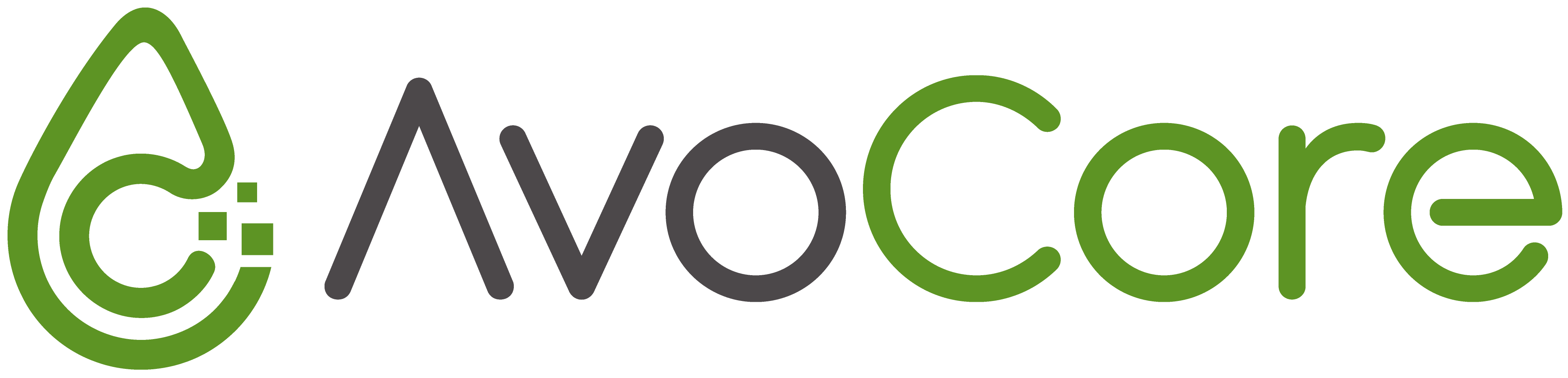 AvoCore
